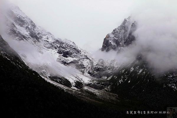 逃离危险禁地